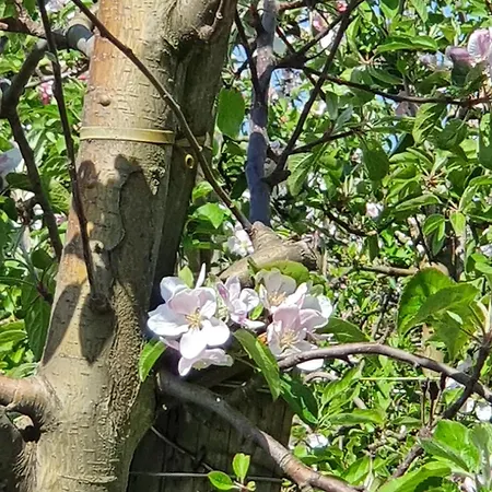 Apartmán Neu! Alleweltchen Mit Balkon *