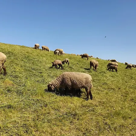 Neu! Alleweltchen Mit Balkon