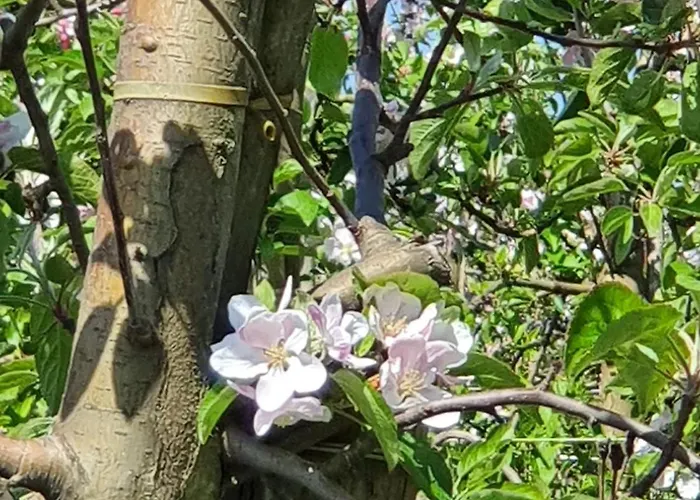 公寓 Neu! Alleweltchen Mit Balkon *