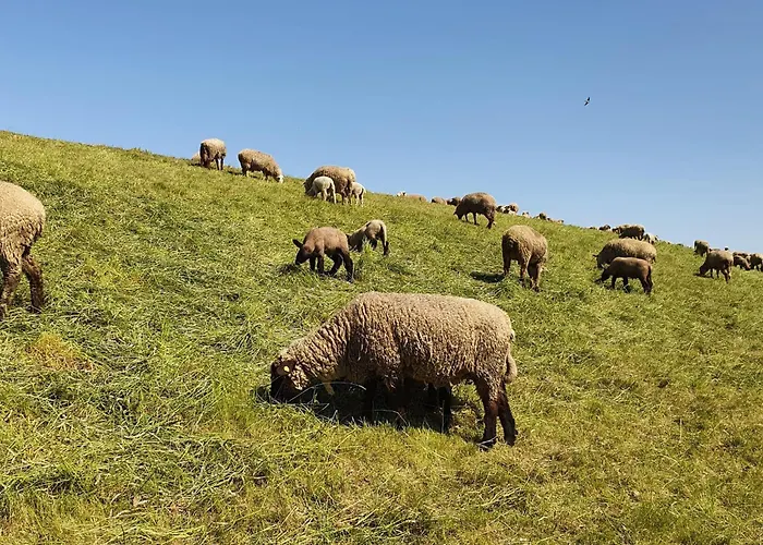 Neu! Alleweltchen Mit Balkon